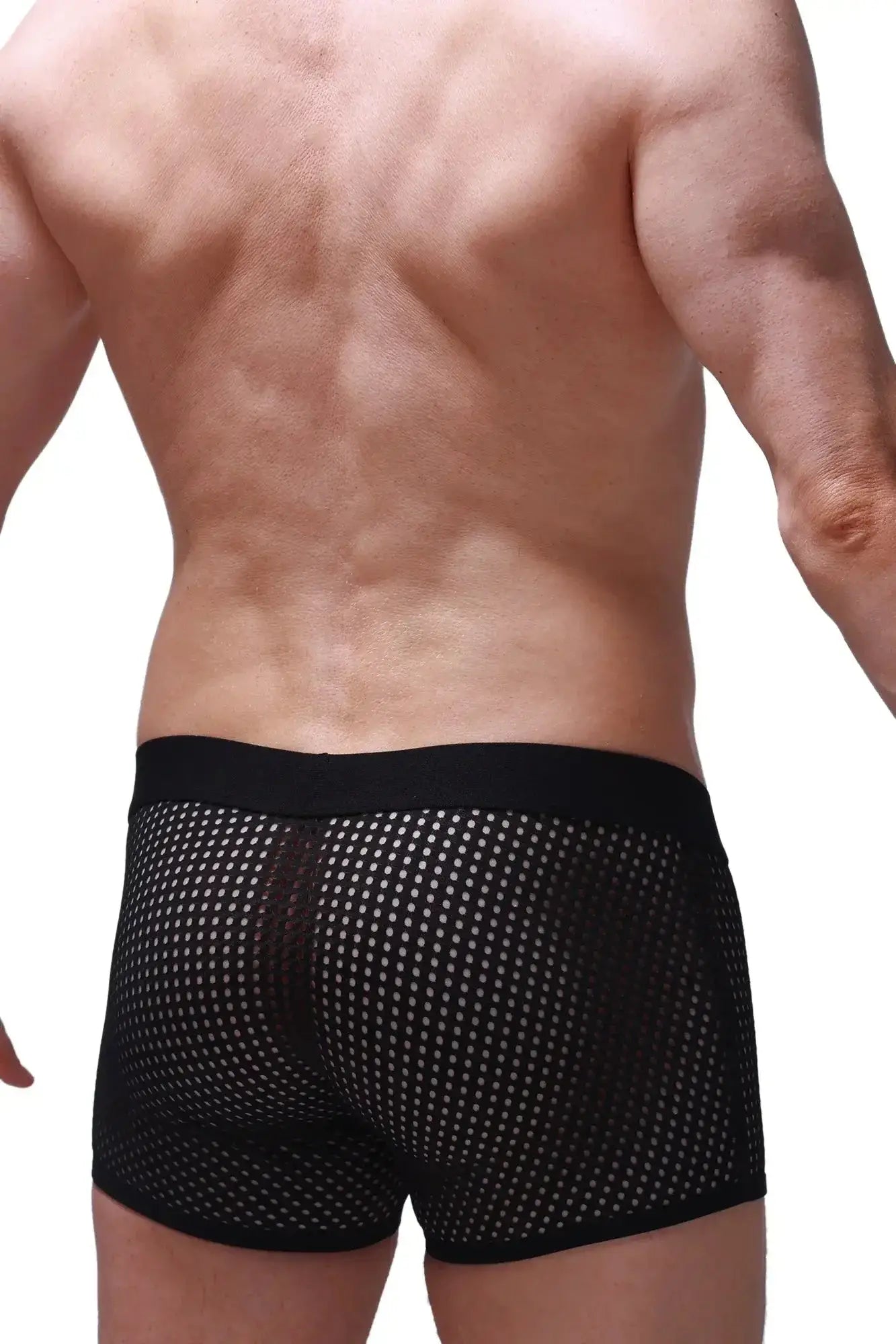 PetitQ boxer olloix durtol black mesh boxer briefs with solid black waistband for breathable comfort
