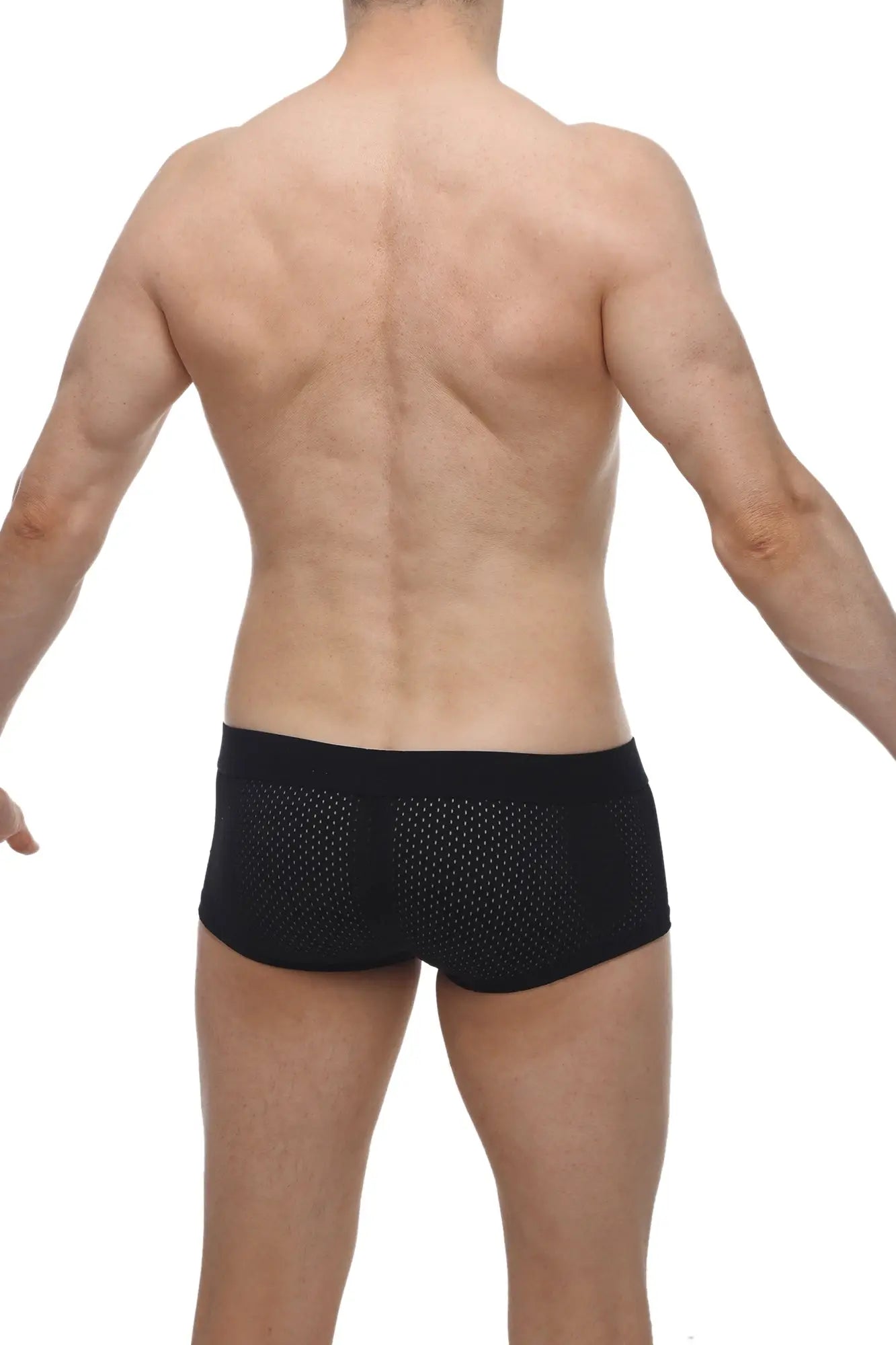 Petitq boxer oncieux bee black sleek form-fitting black mesh briefs designed for comfort and style