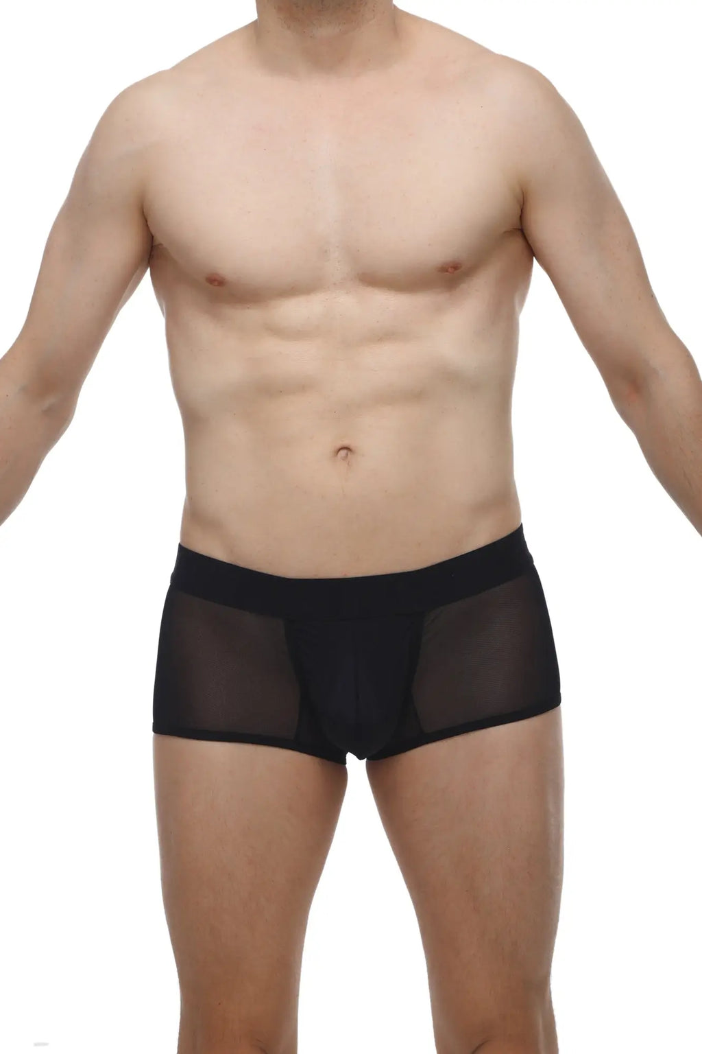 Petitq boxer oncieux black mesh briefs with solid black waistband in a breathable sheer fabric
