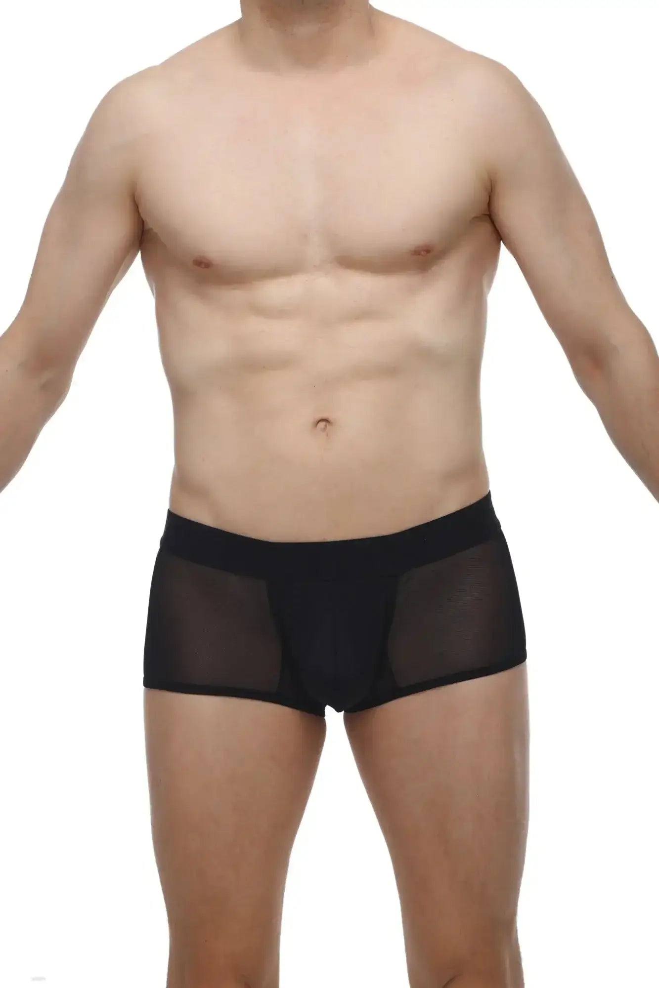 Petitq boxer oncieux black mesh briefs with solid black waistband in a breathable sheer fabric