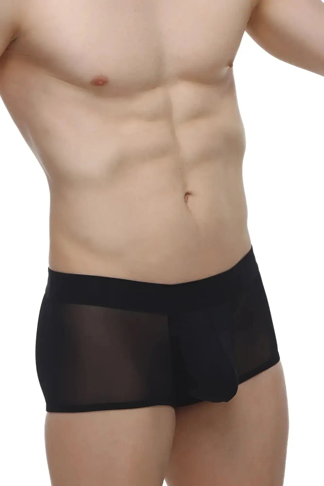 PetitQ boxer oncieux black sheer mesh briefs with a solid black waistband front view