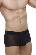 PetitQ boxer oncieux black sheer mesh briefs with a solid black waistband front view