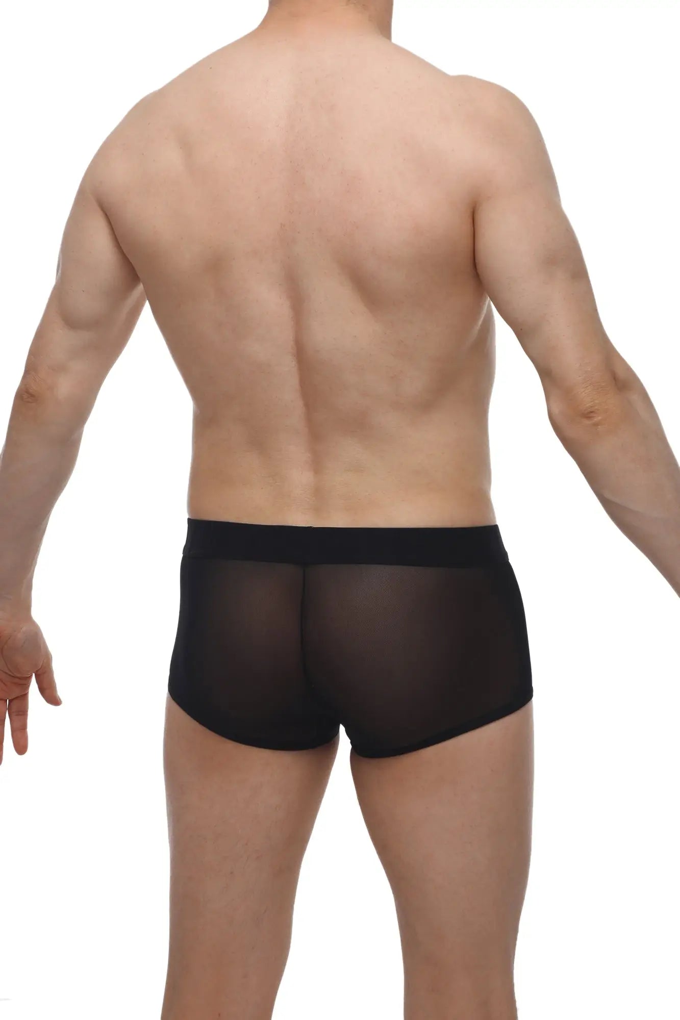Black sheer mesh PetitQ boxer oncieux briefs with a solid black waistband showing the front side of the product