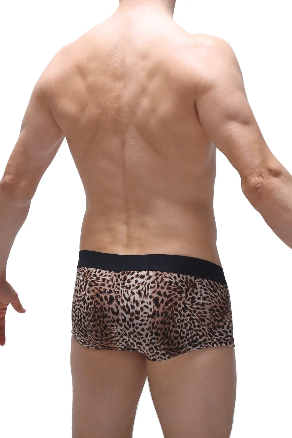 Petitq boxer panthere leopard-print boxer briefs with solid black waistband made from soft breathable fabric