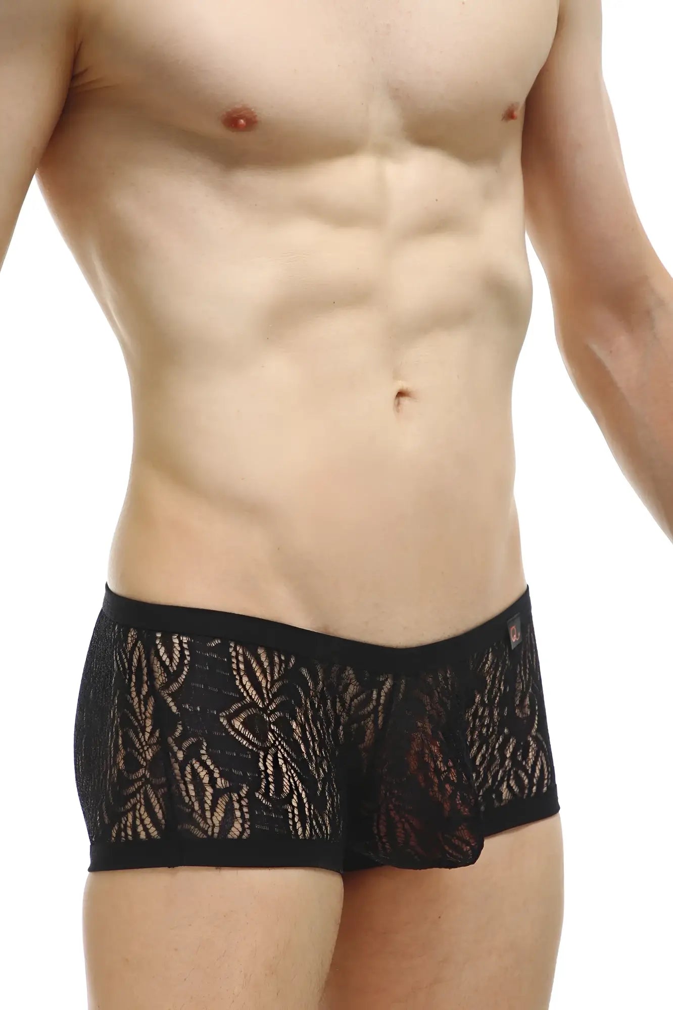 PetitQ boxer plouhac lace black briefs with intricate black leaf-patterned mesh design front view
