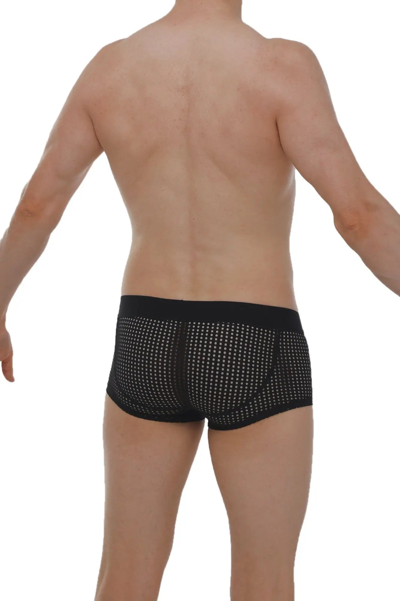 Petitq boxer protruder durtol black black mesh briefs with subtle white dot pattern and solid black waistband front view