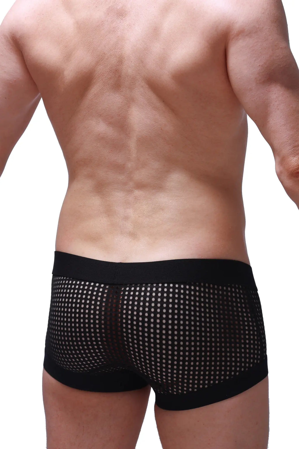 Black mesh PetitQ boxer Rabol Durtol briefs with solid black waistband and leg openings visible from the front