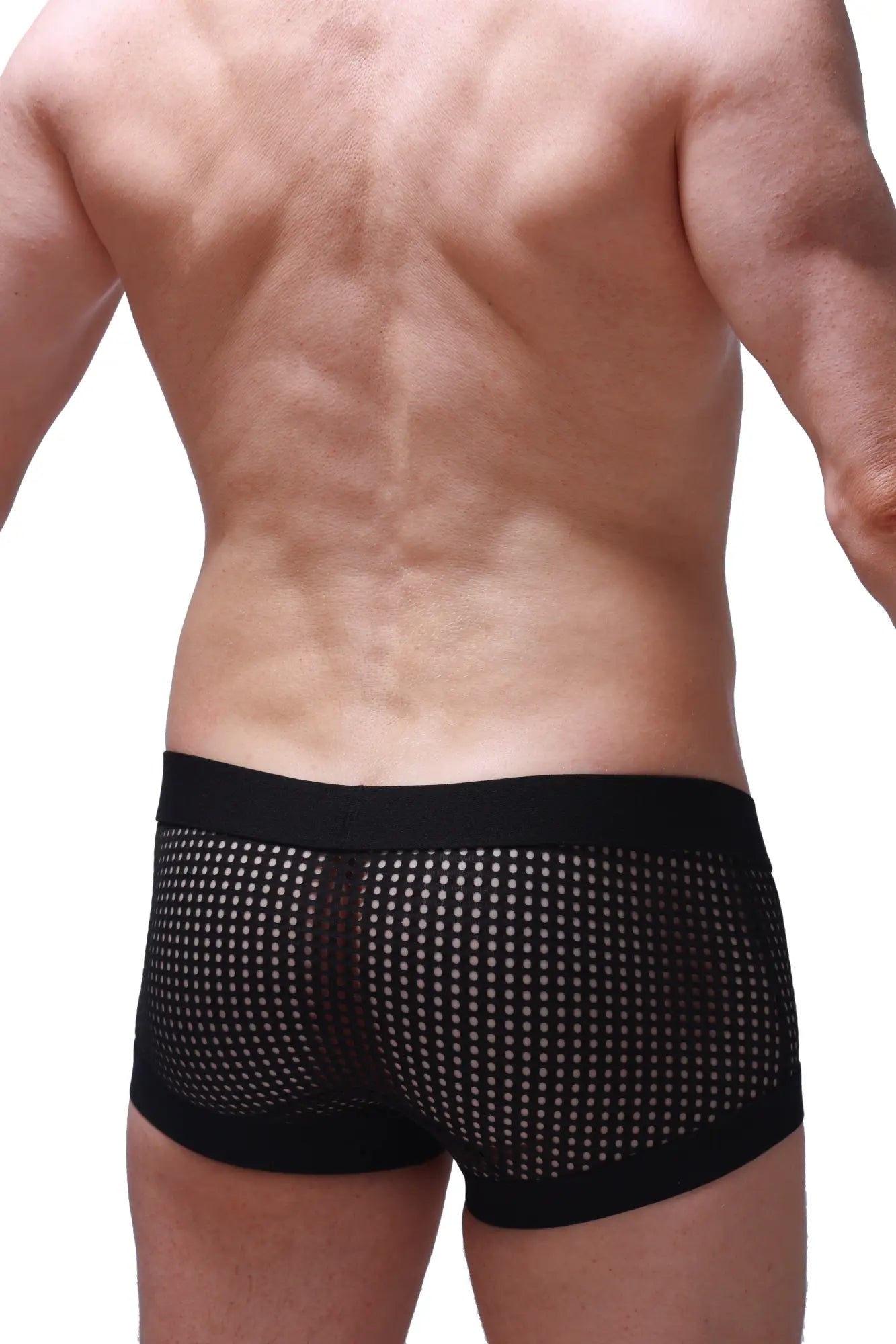 Black mesh PetitQ boxer Rabol Durtol briefs with solid black waistband and leg openings visible from the front
