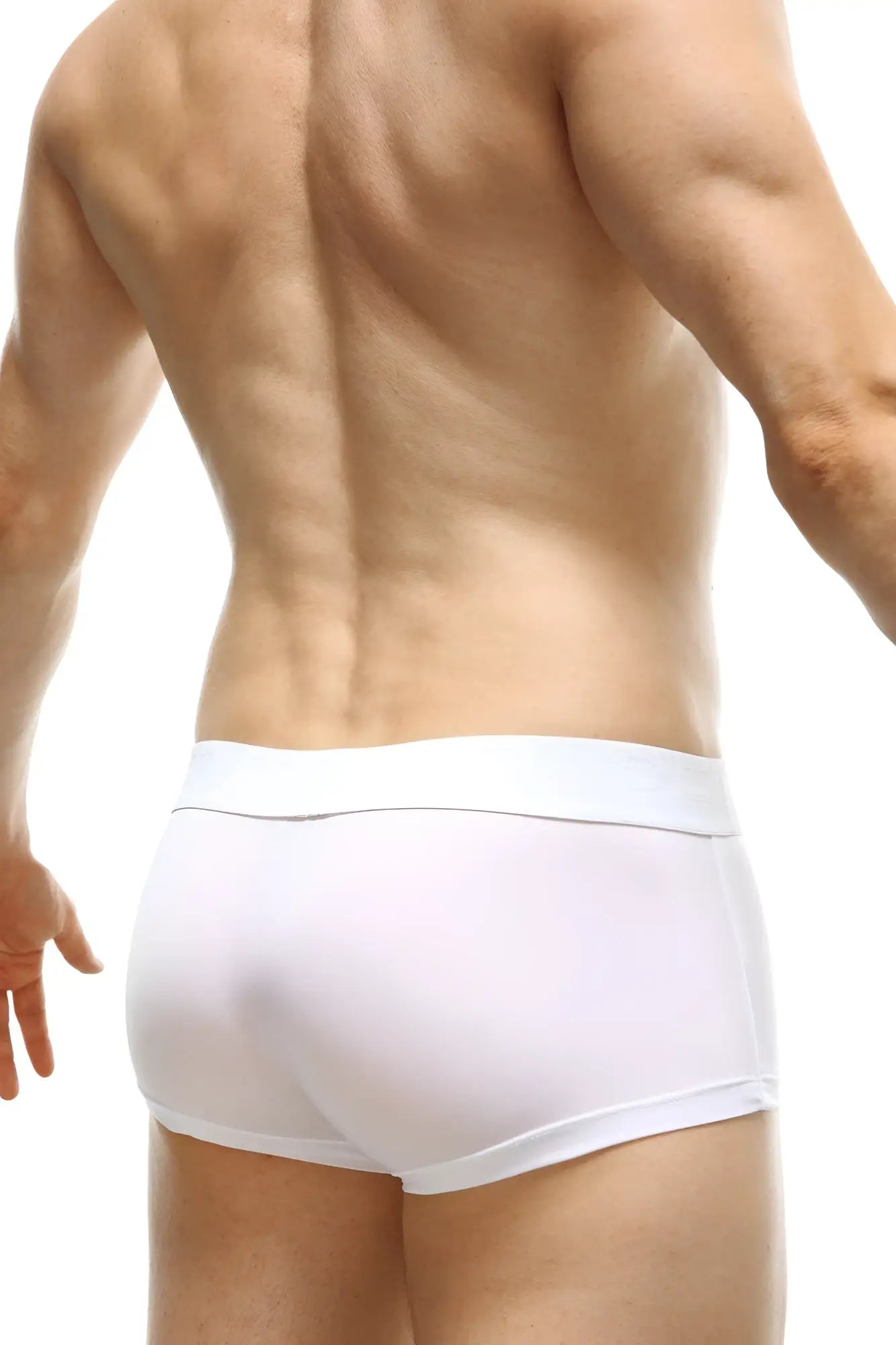 White petitq boxer reotier briefs with smooth form-fitting design in plum and white for comfortable wear