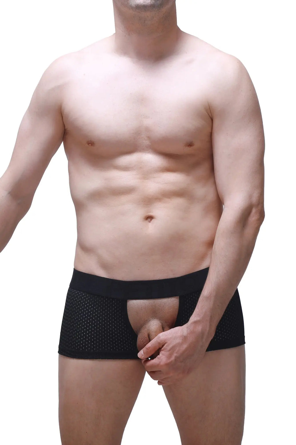 Black mesh PetitQ boxer sling Melin boudoir briefs with solid waistband and open front design