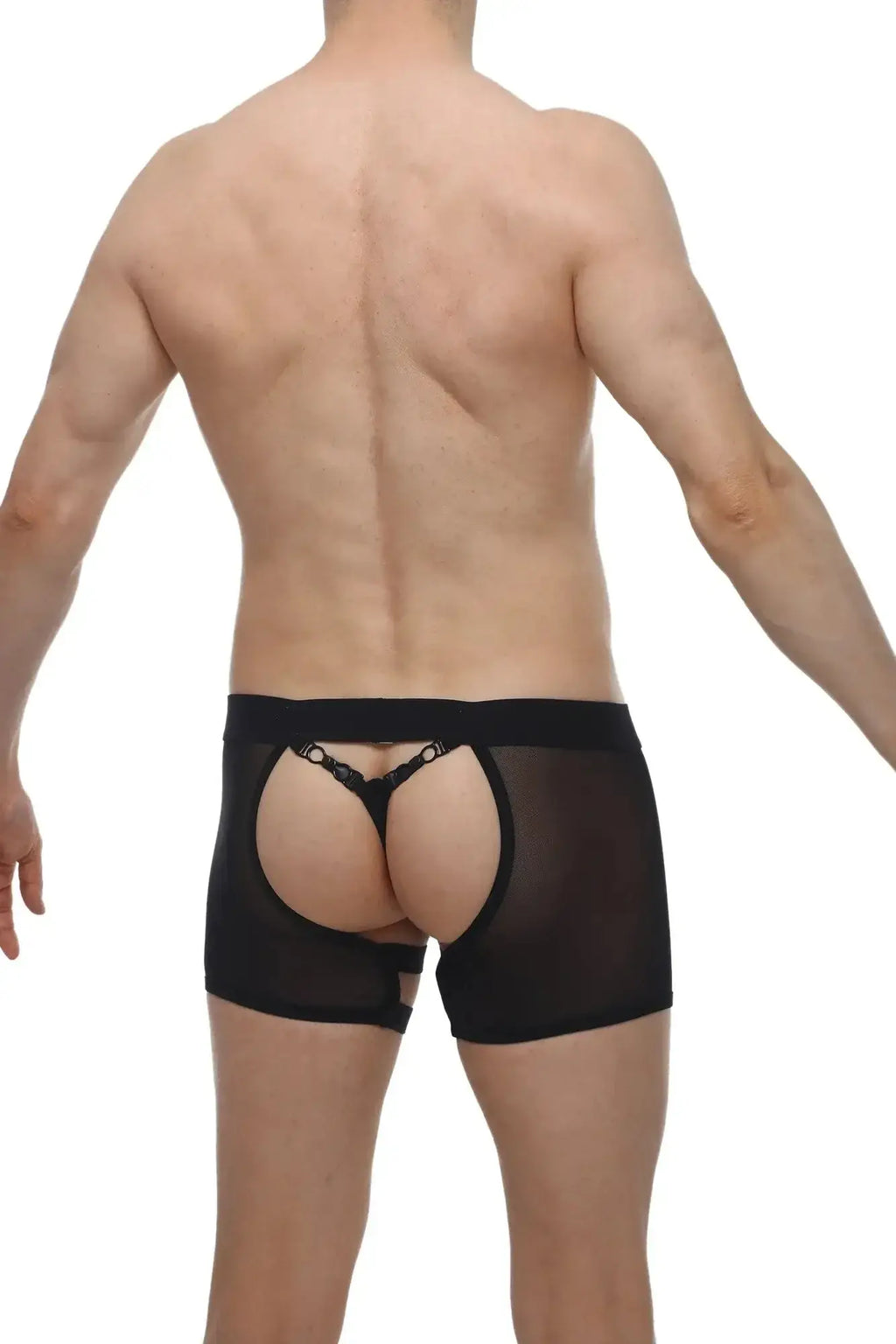 Back side view of petitq boxer string garter angy black sheer mesh briefs with lace trim and open rear design