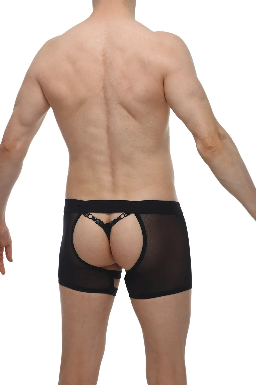 Back side view of petitq boxer string garter angy black sheer mesh briefs with lace trim and open rear design