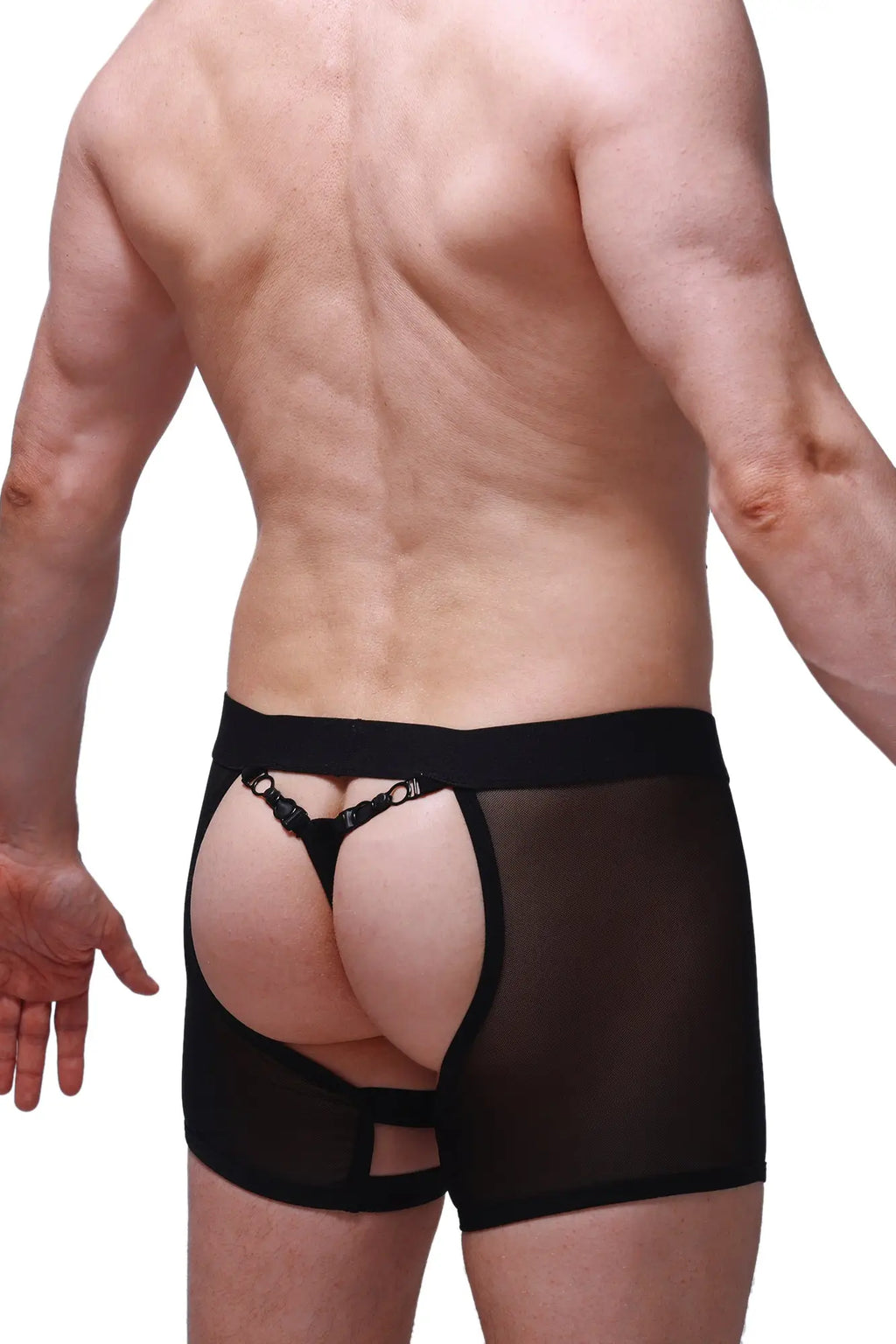 Petitq boxer string garter angy black sheer mesh briefs with solid waistband and metallic hardware straps back side view