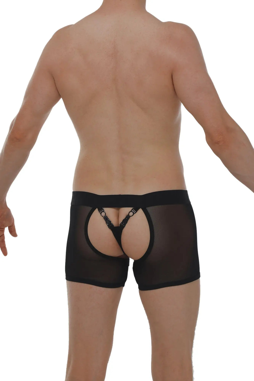 Back side view of petitq boxer string garter angy net black sheer mesh briefs with black lace trim and adjustable straps
