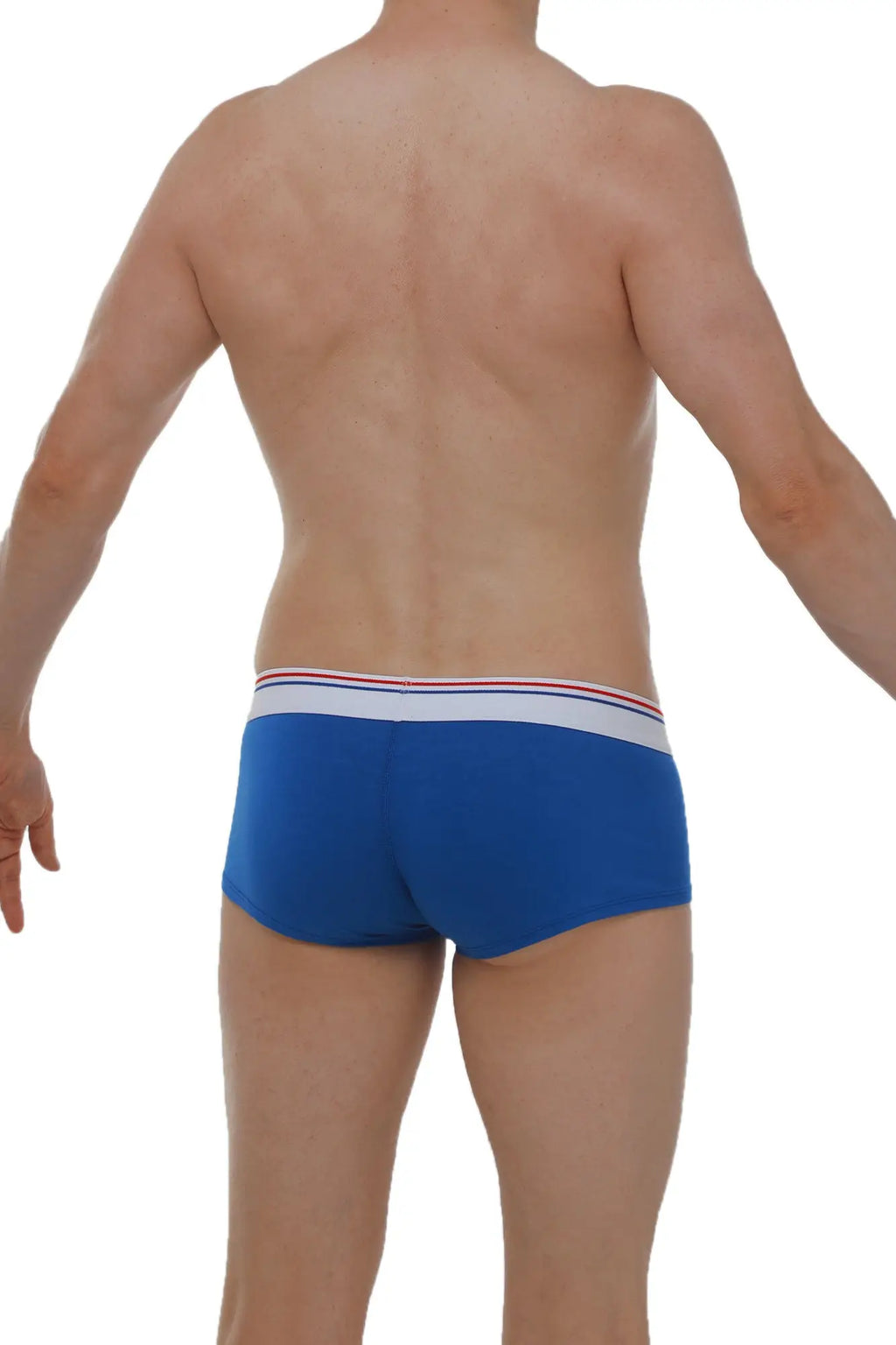 Blue petitq boxer taik modal briefs featuring a white waistband with red and blue stripes