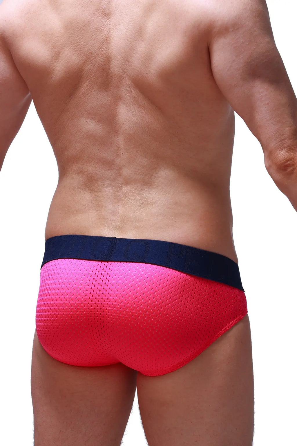 PetitQ brief Anjouin Bee pink bright pink mesh briefs with navy blue waistband for comfortable everyday wear