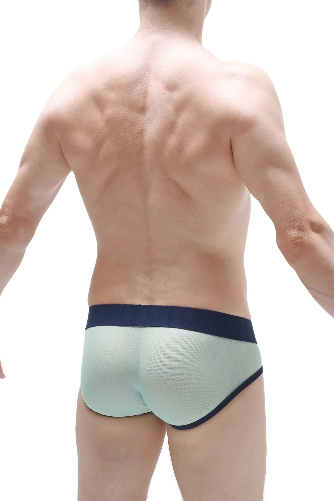 Light green translucent briefs with navy blue trim from petitq aurol net teal collection made of breathable mesh