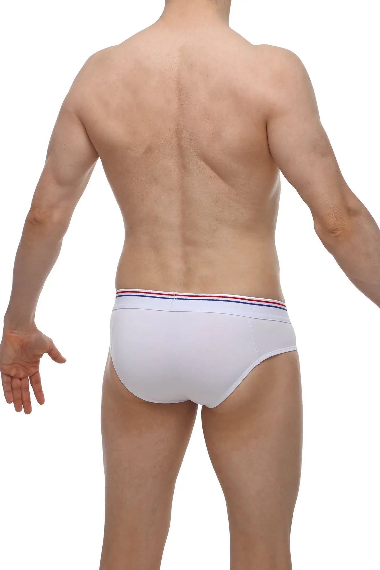 White briefs petitq brief banne white with a red white and blue striped waistband for comfortable everyday wear