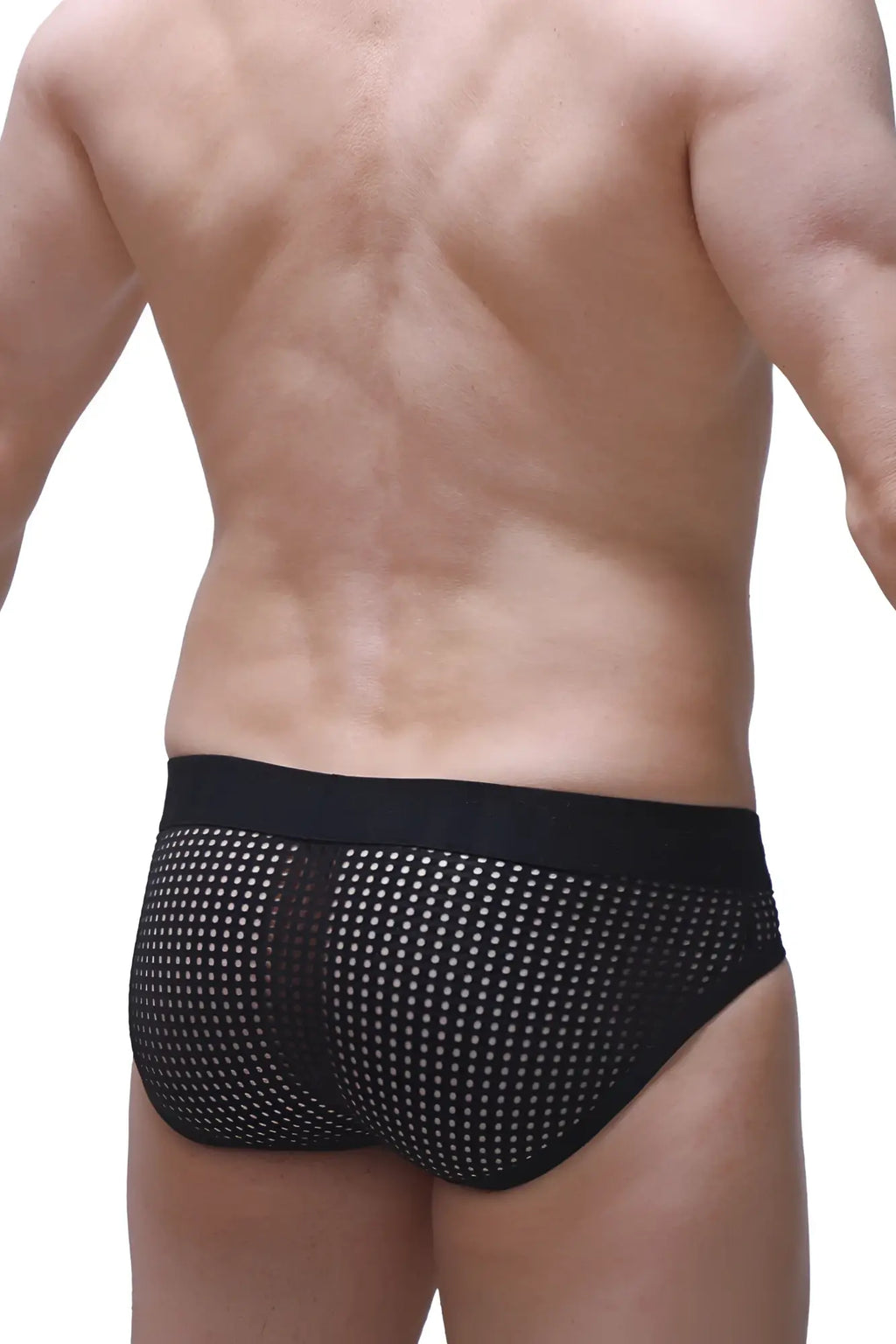 Black mesh PetitQ brief Bessey Durtol with solid black waistband and white dot pattern