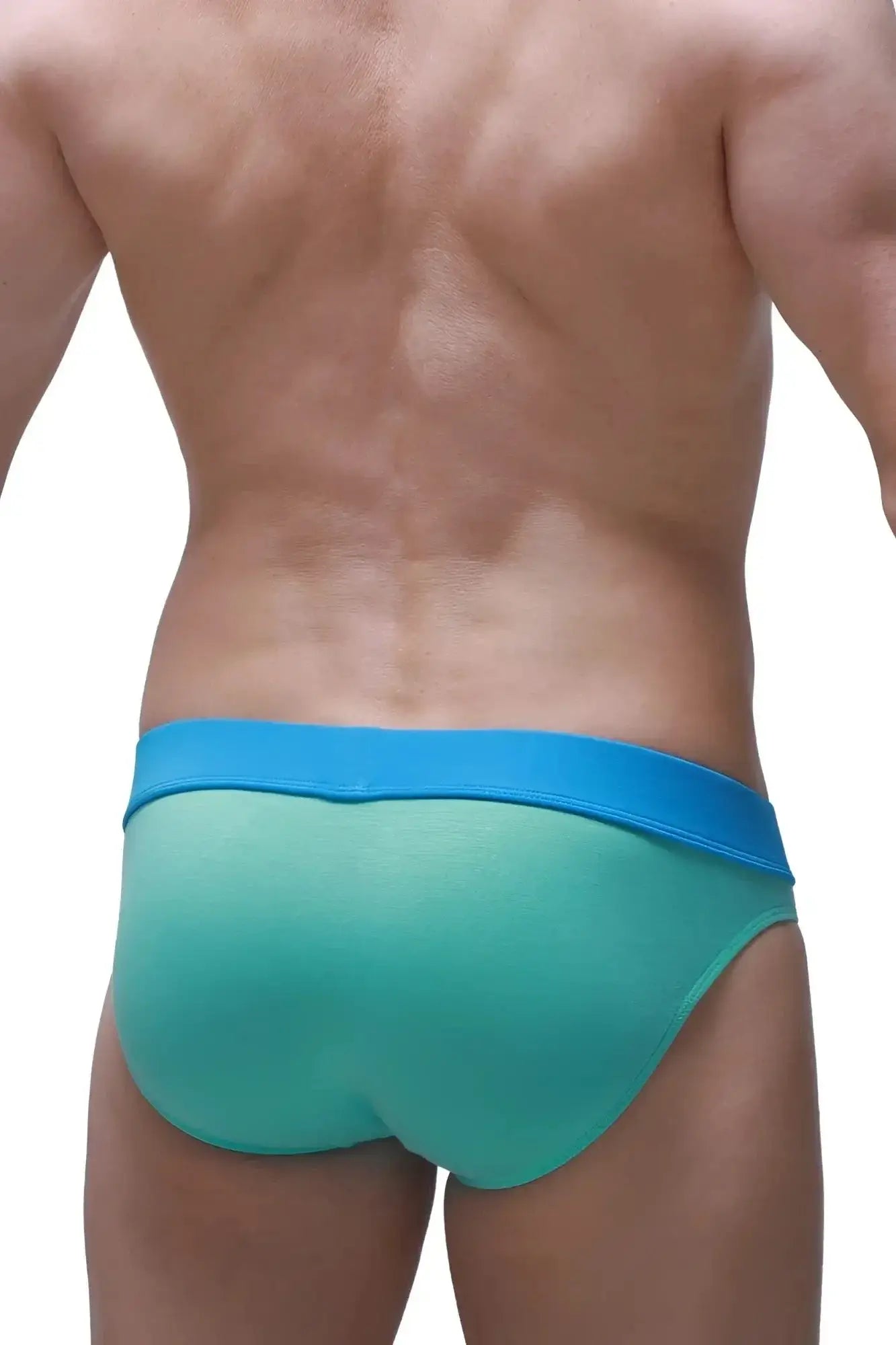 Teal and blue gradient petitq brief blaru bamboo green men’s briefs with solid blue waistband in soft bamboo fabric