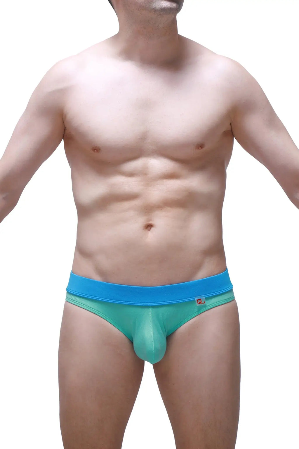 Teal and blue petitq brief blaru bamboo green men’s athletic briefs with snug fit and elastic waistband