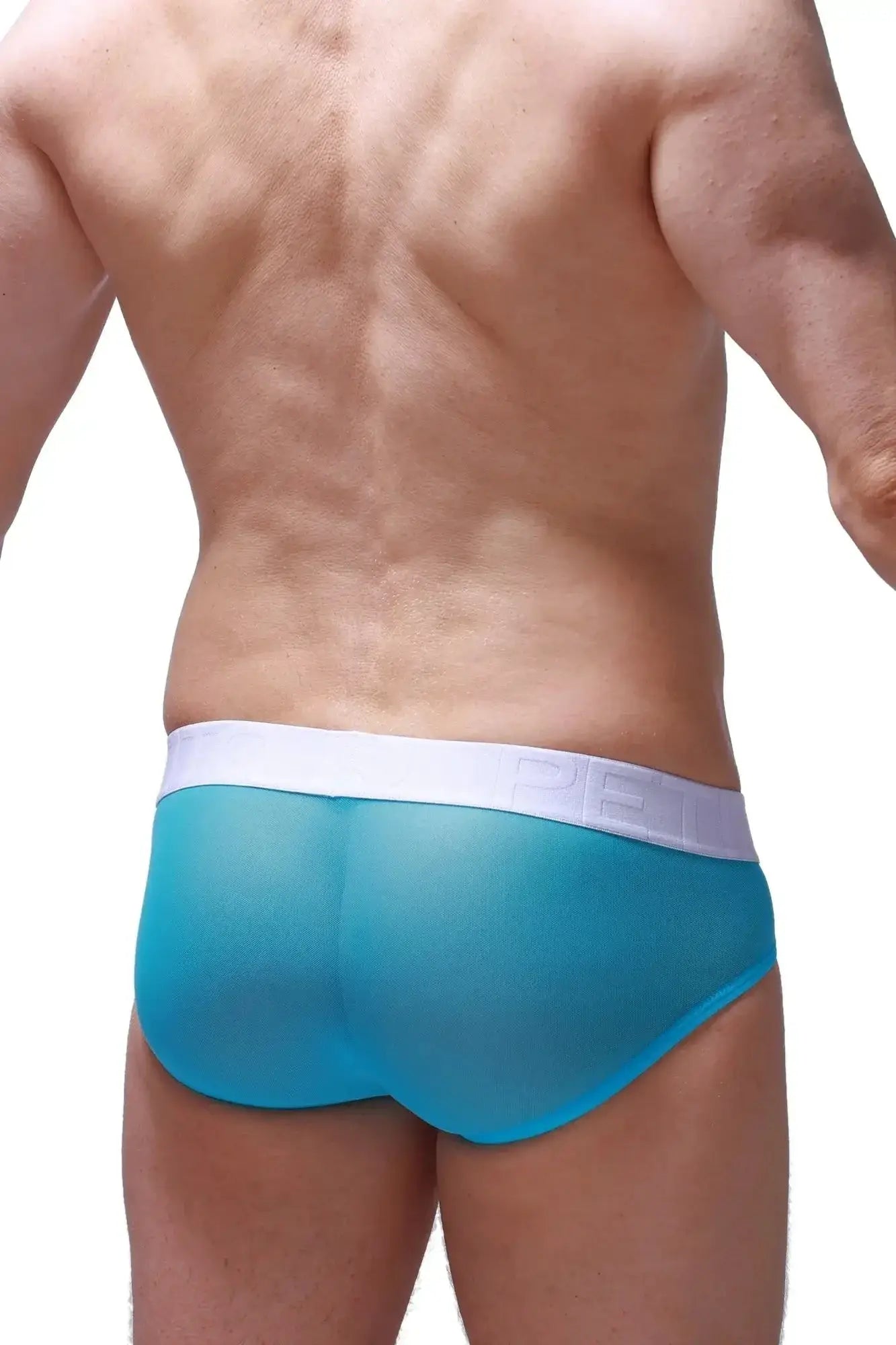 Petitq brief dolmen net maya blue sheer turquoise briefs with white elastic waistband front view
