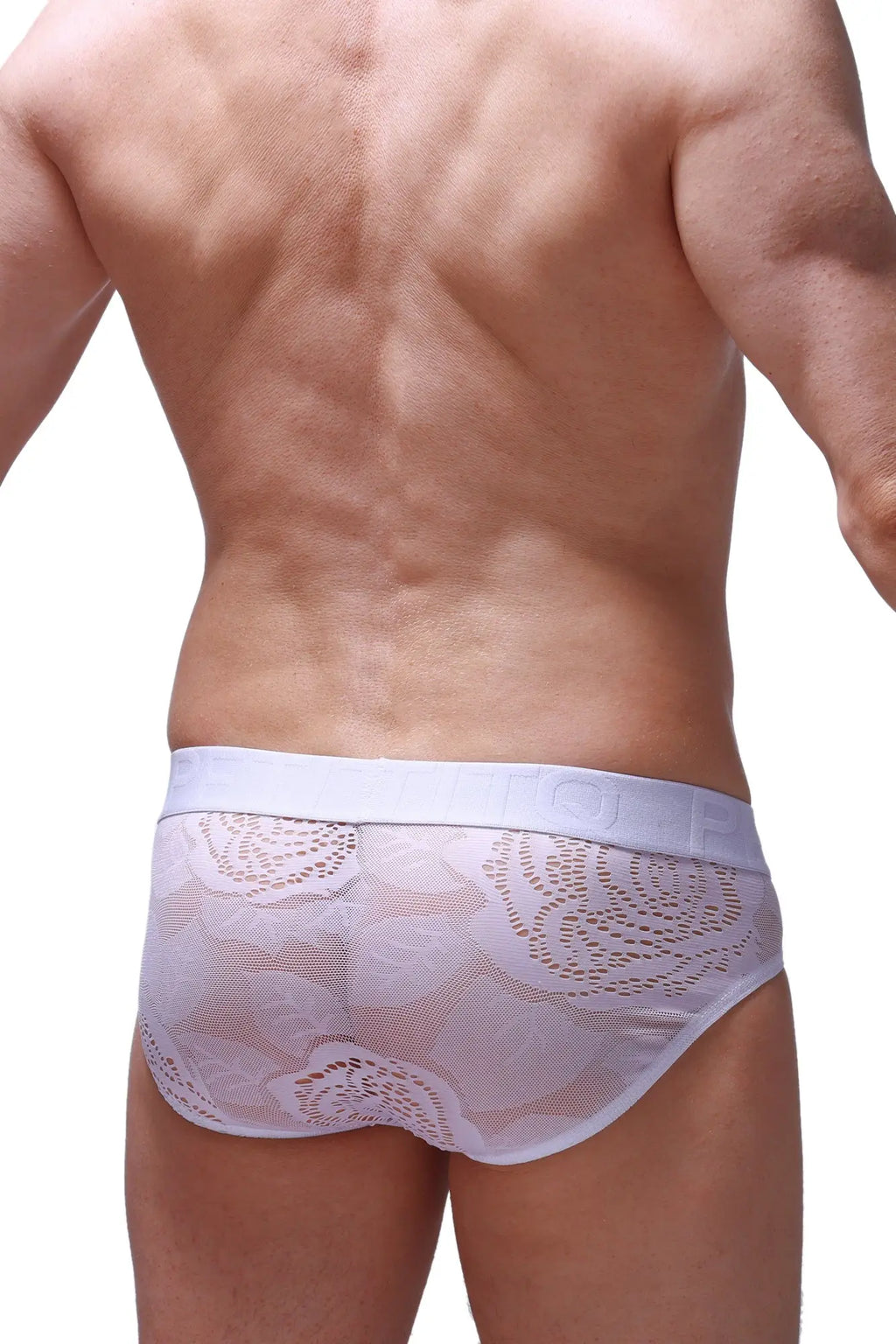 White lace-trimmed briefs with delicate patterned mesh and elastic waistband from petitq brief dome coudray white collection