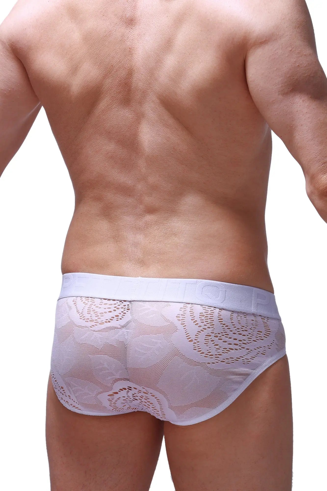 White lace-trimmed briefs with delicate patterned mesh and elastic waistband from petitq brief dome coudray white collection