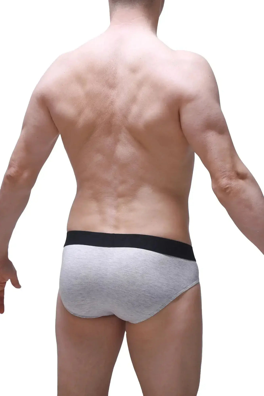 Gray petitq brief dome modal athletic briefs with black elastic waistband made from soft breathable fabric