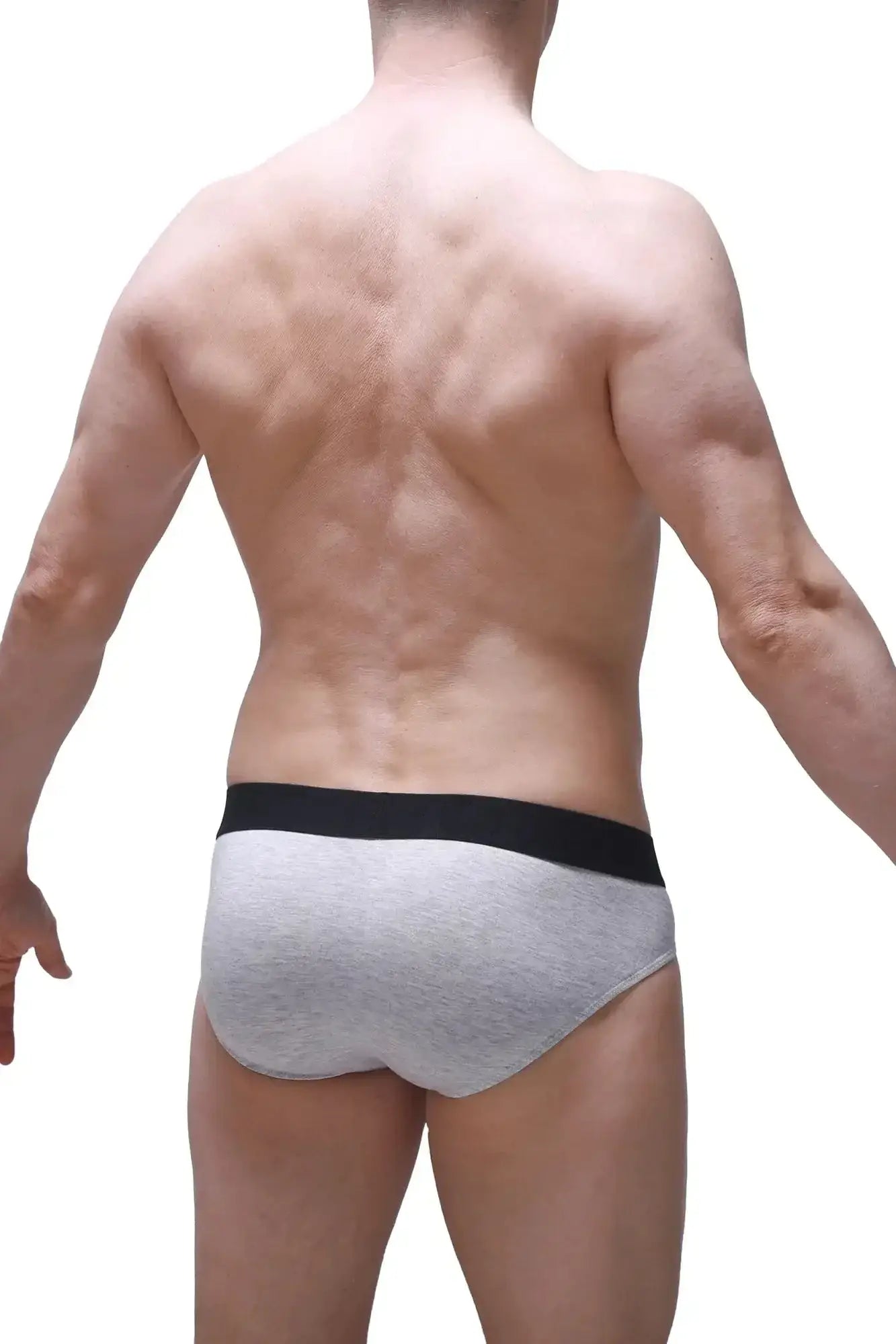 Gray petitq brief dome modal athletic briefs with black elastic waistband made from soft breathable fabric