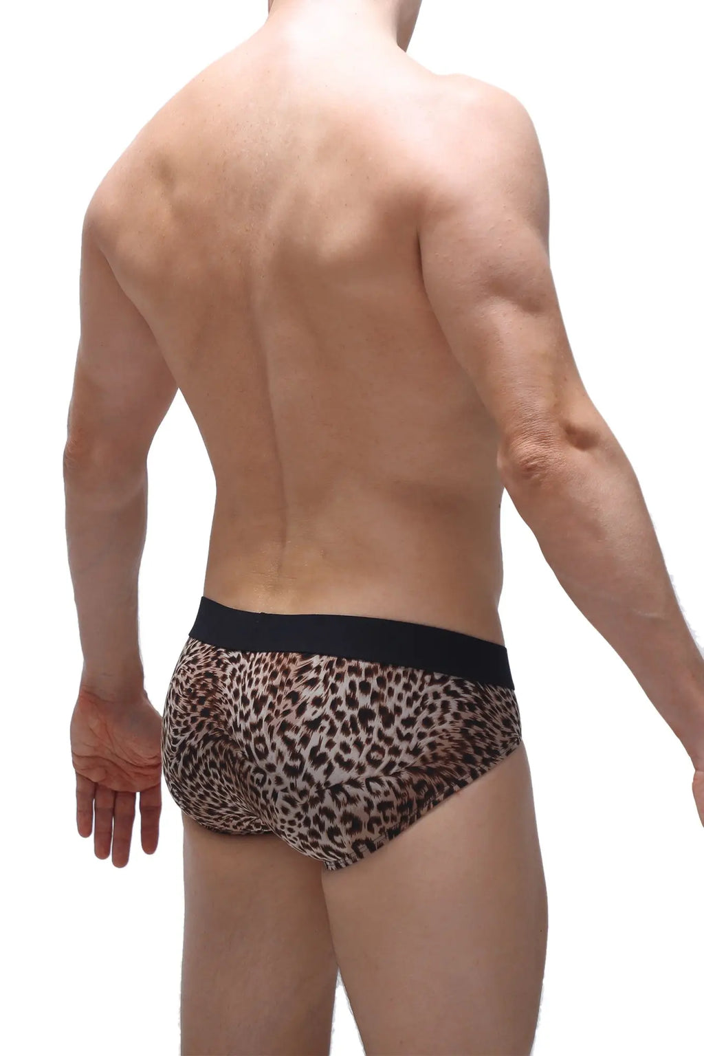Leopard-print briefs with a black elastic waistband designed by petitq in the brief dome panthere collection