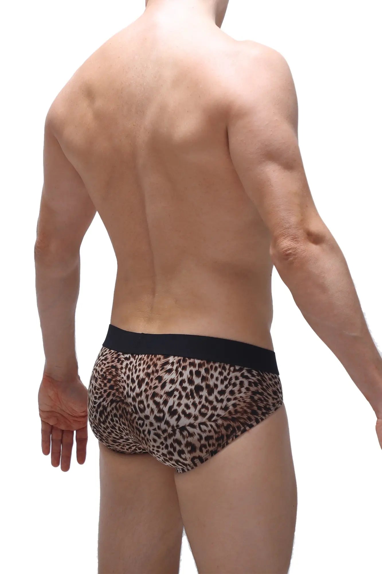 Leopard-print briefs with a black elastic waistband designed by petitq in the brief dome panthere collection