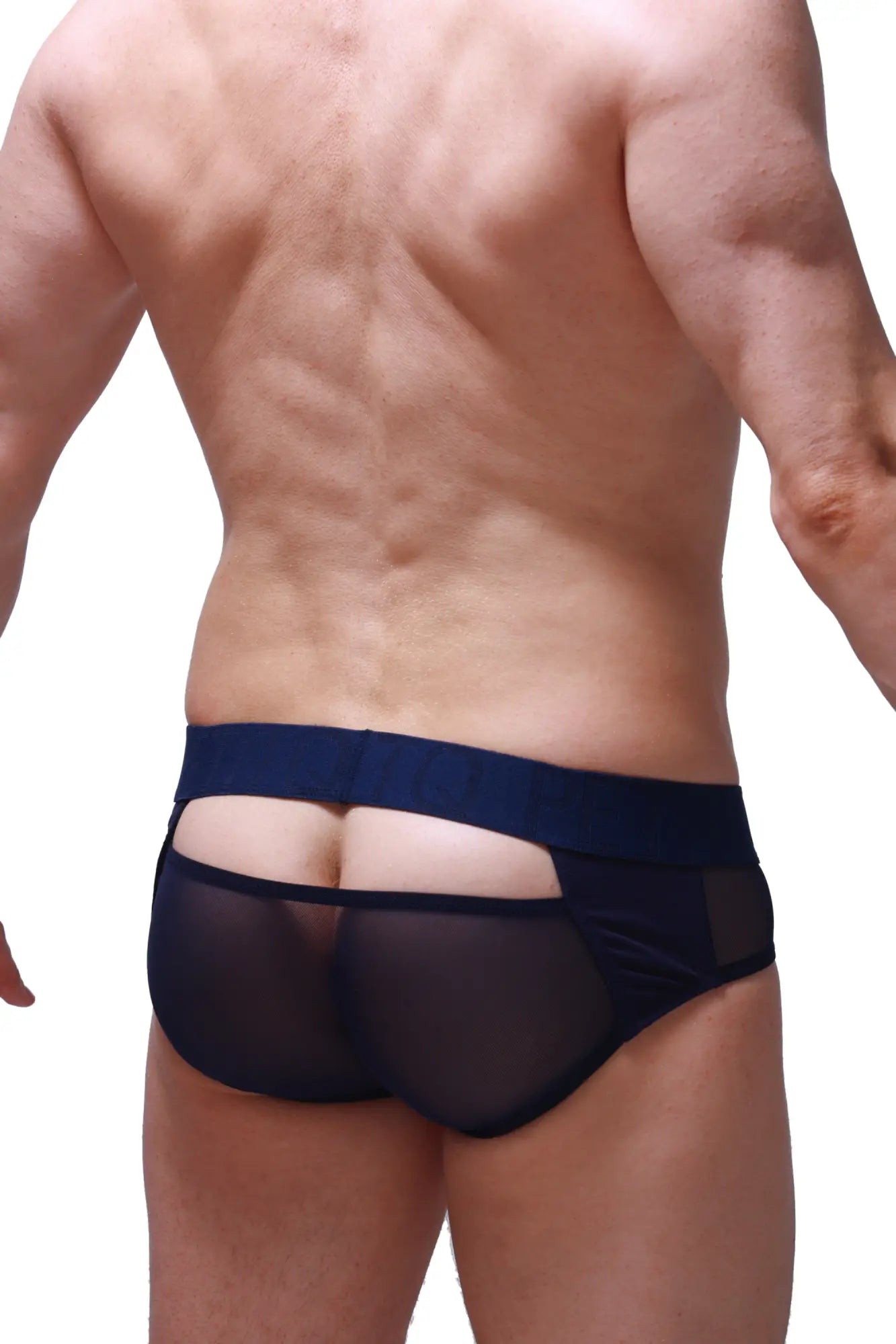 Navy blue sheer mesh briefs with a solid waistband by PetitQ for comfortable everyday wear
