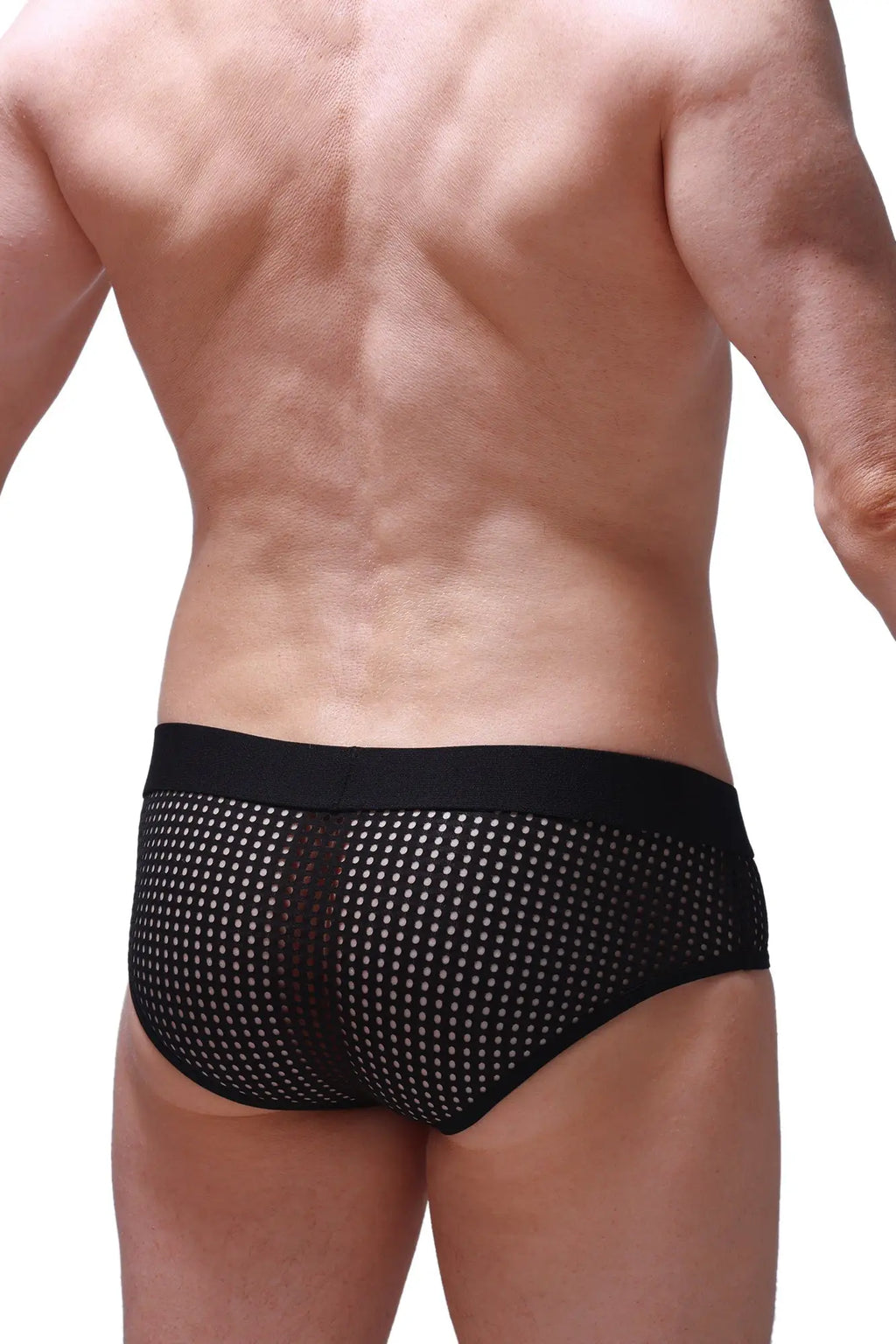 PetitQ brief ethel durtol black black mesh briefs with white dot pattern and solid black waistband front view
