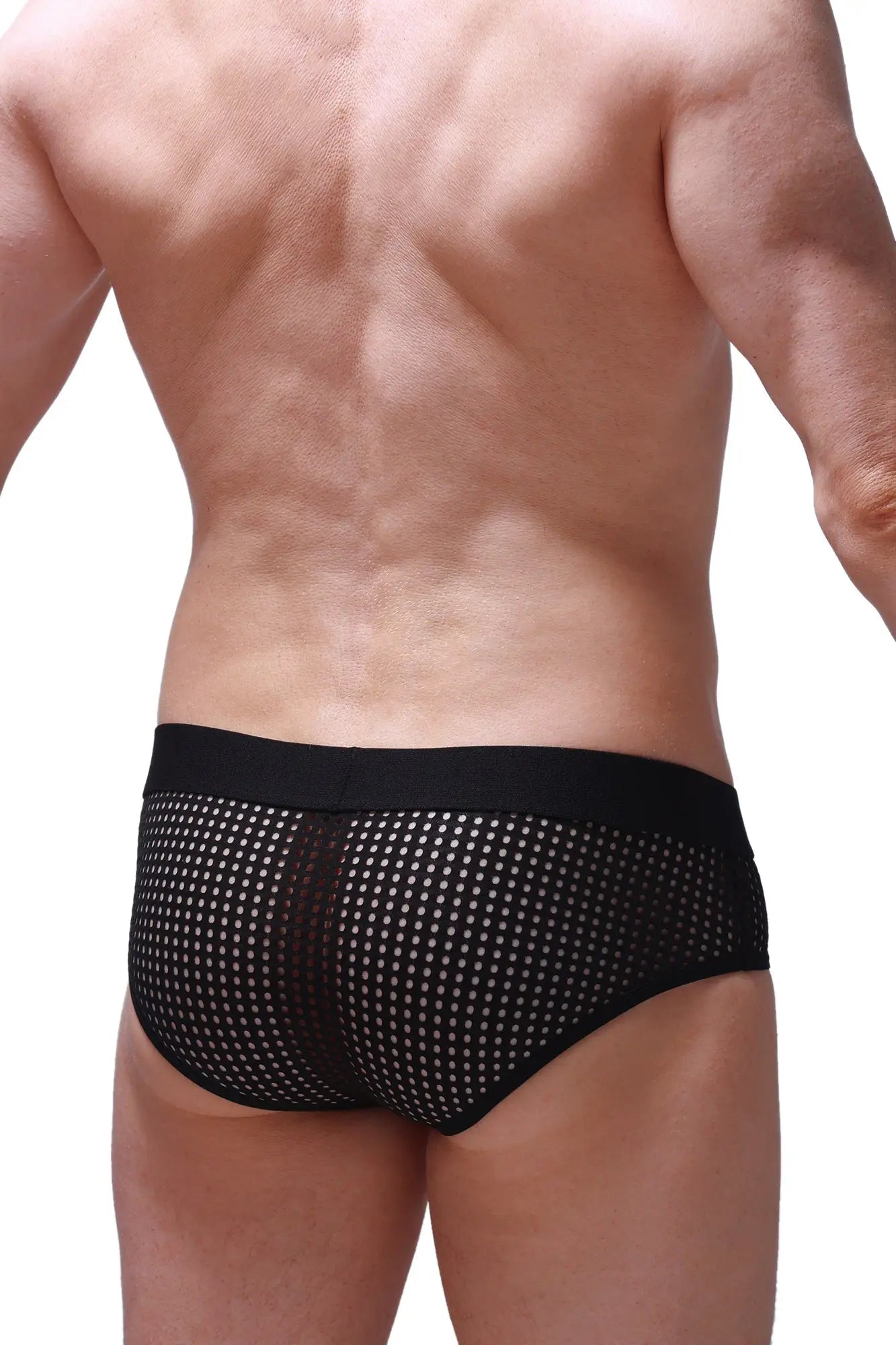 PetitQ brief ethel durtol black black mesh briefs with white dot pattern and solid black waistband front view