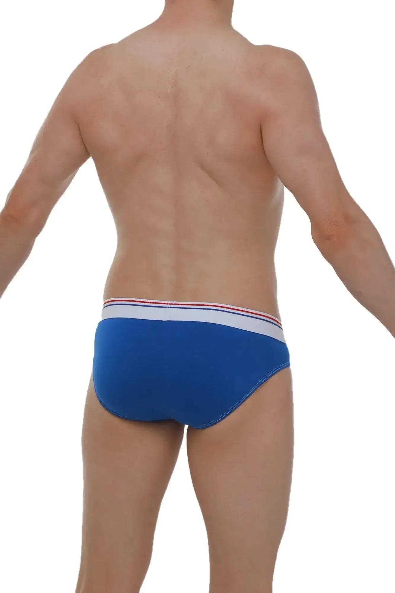 Petitq brief hang modal blue briefs with blue fabric and white waistband accented by thin red and blue stripes