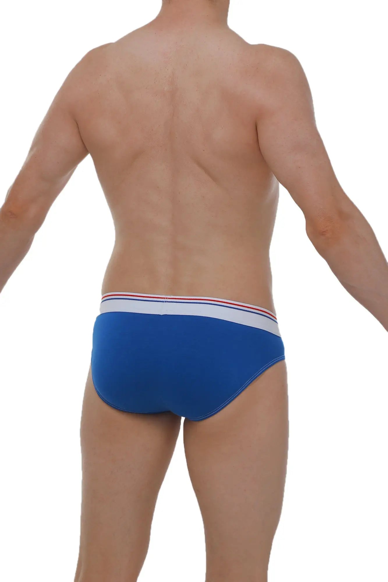 Petitq brief hang modal blue briefs with blue fabric and white waistband accented by thin red and blue stripes