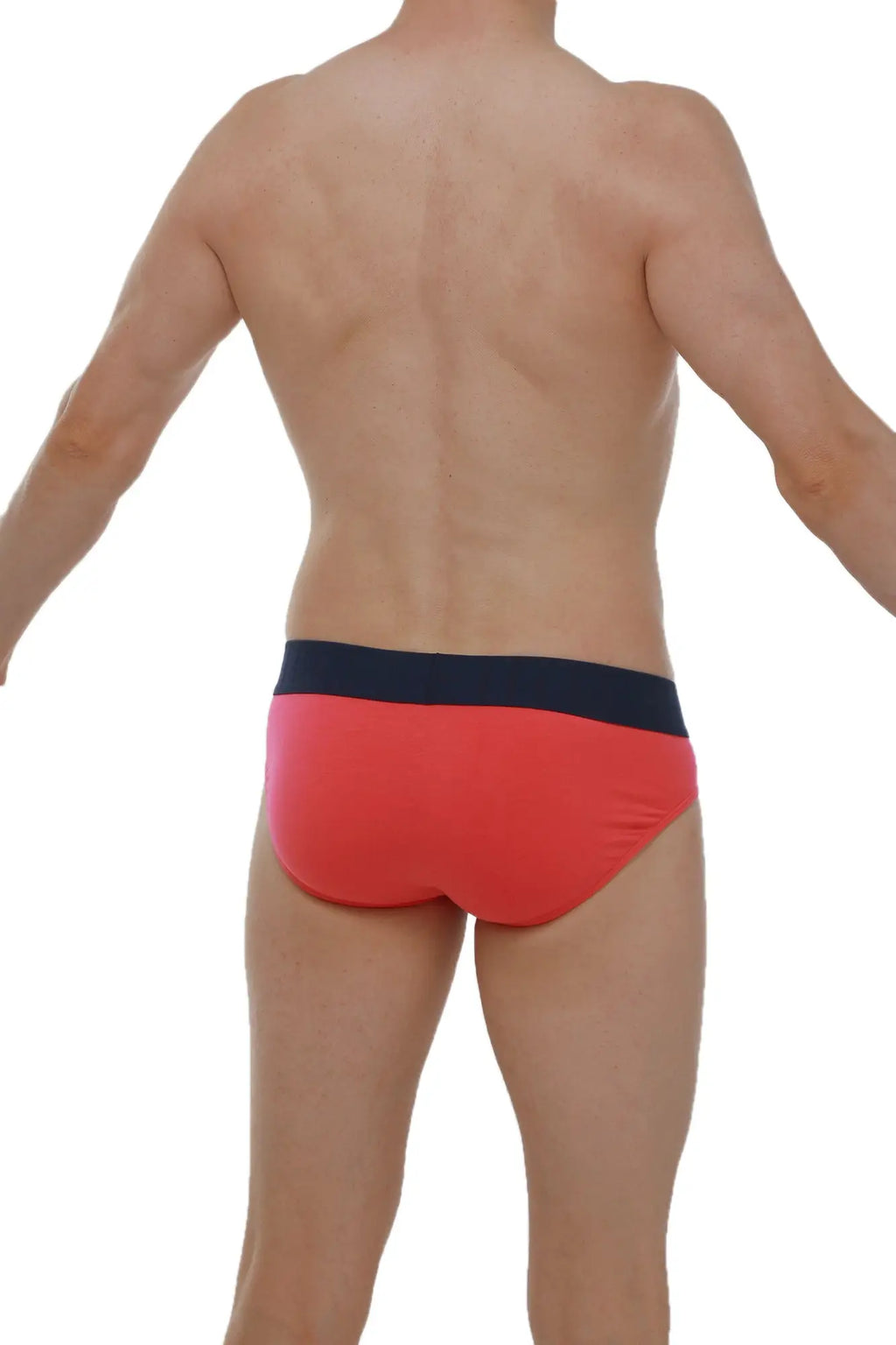 Red briefs with navy blue waistband made of modal fabric from petitq in fuchsia color