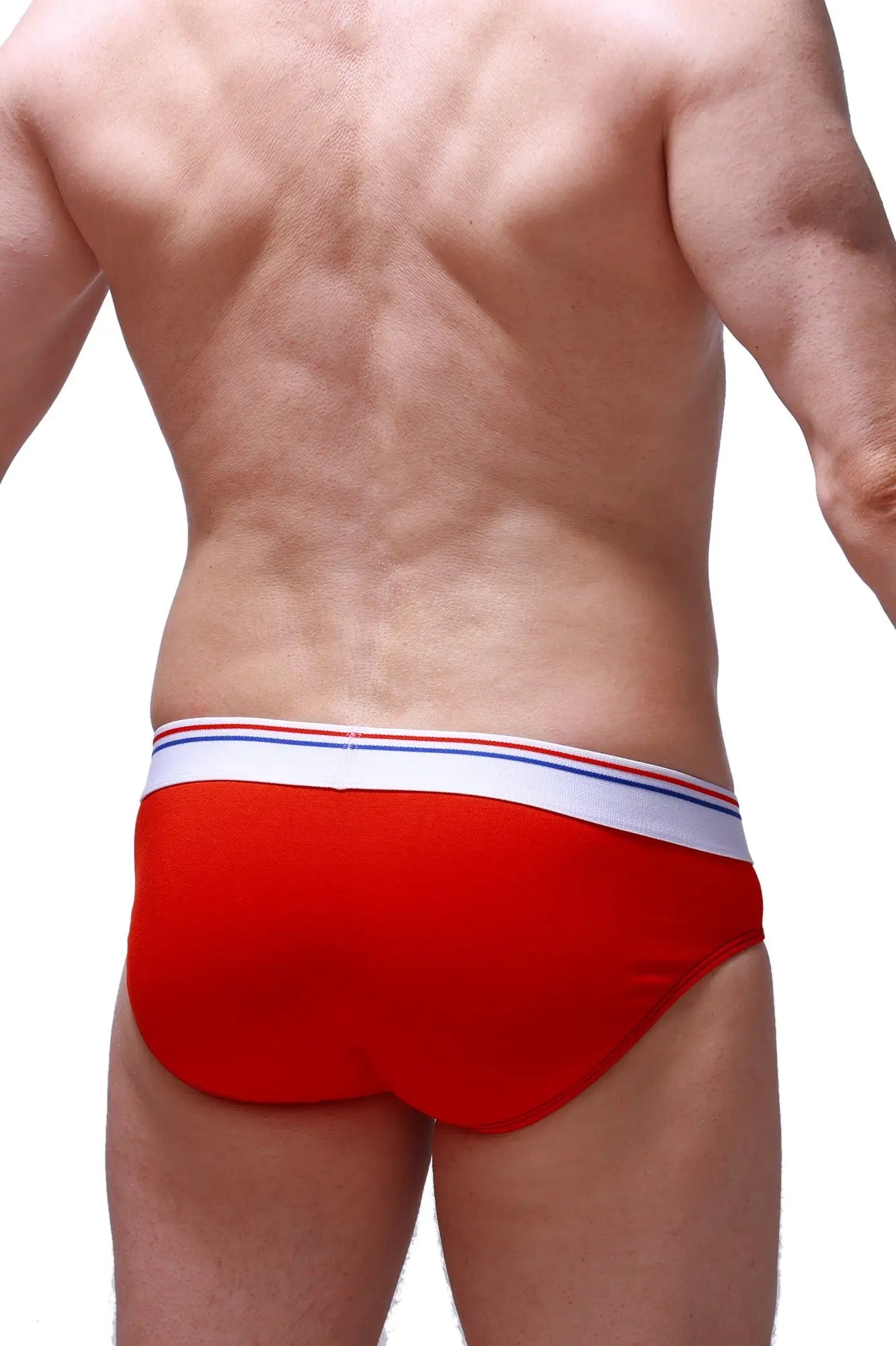 Petitq brief linay modal red red briefs with white waistband and thin blue and red stripes in modal fabric