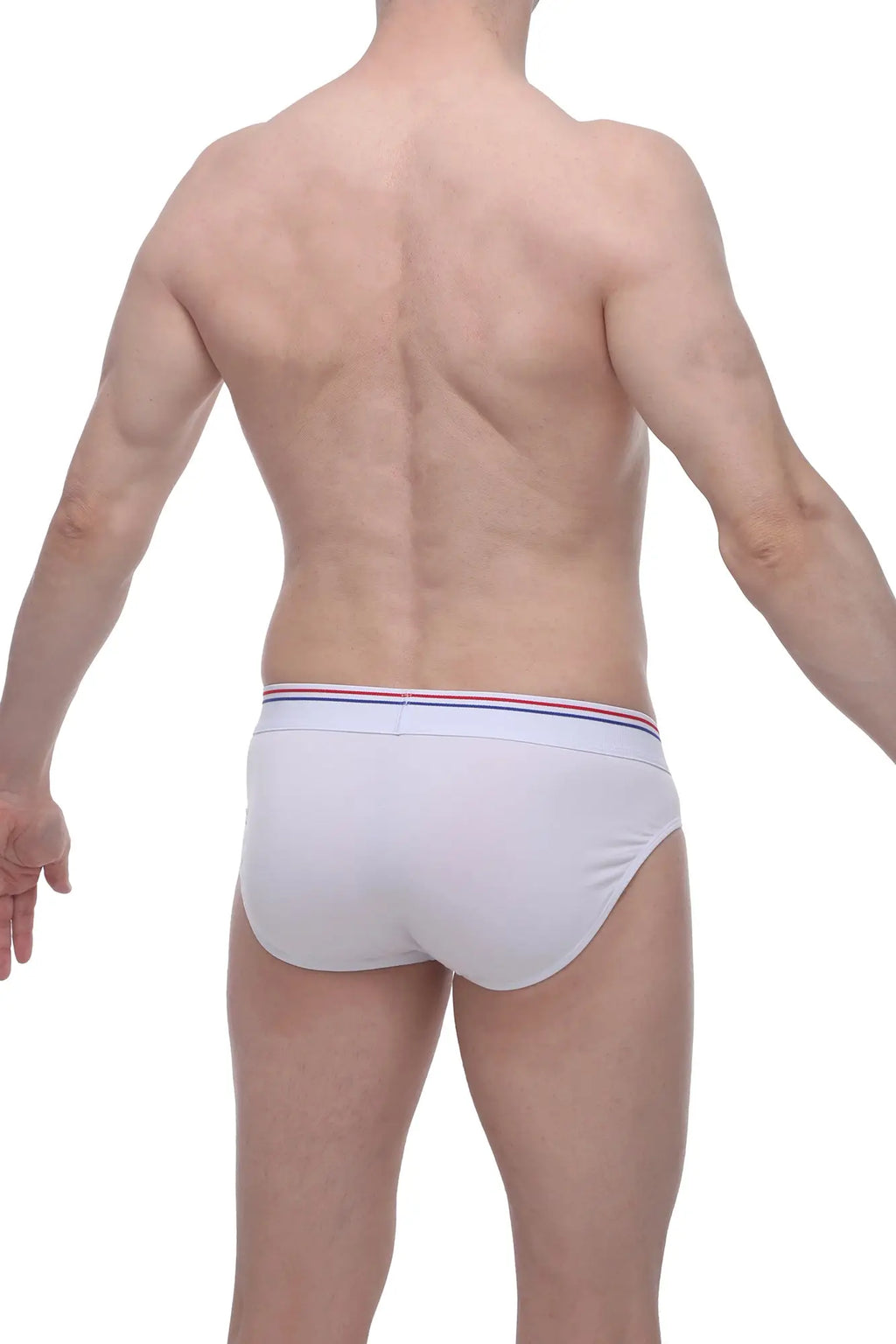 Petitq brief livet white white briefs with thin elastic waistband featuring red white and blue stripes