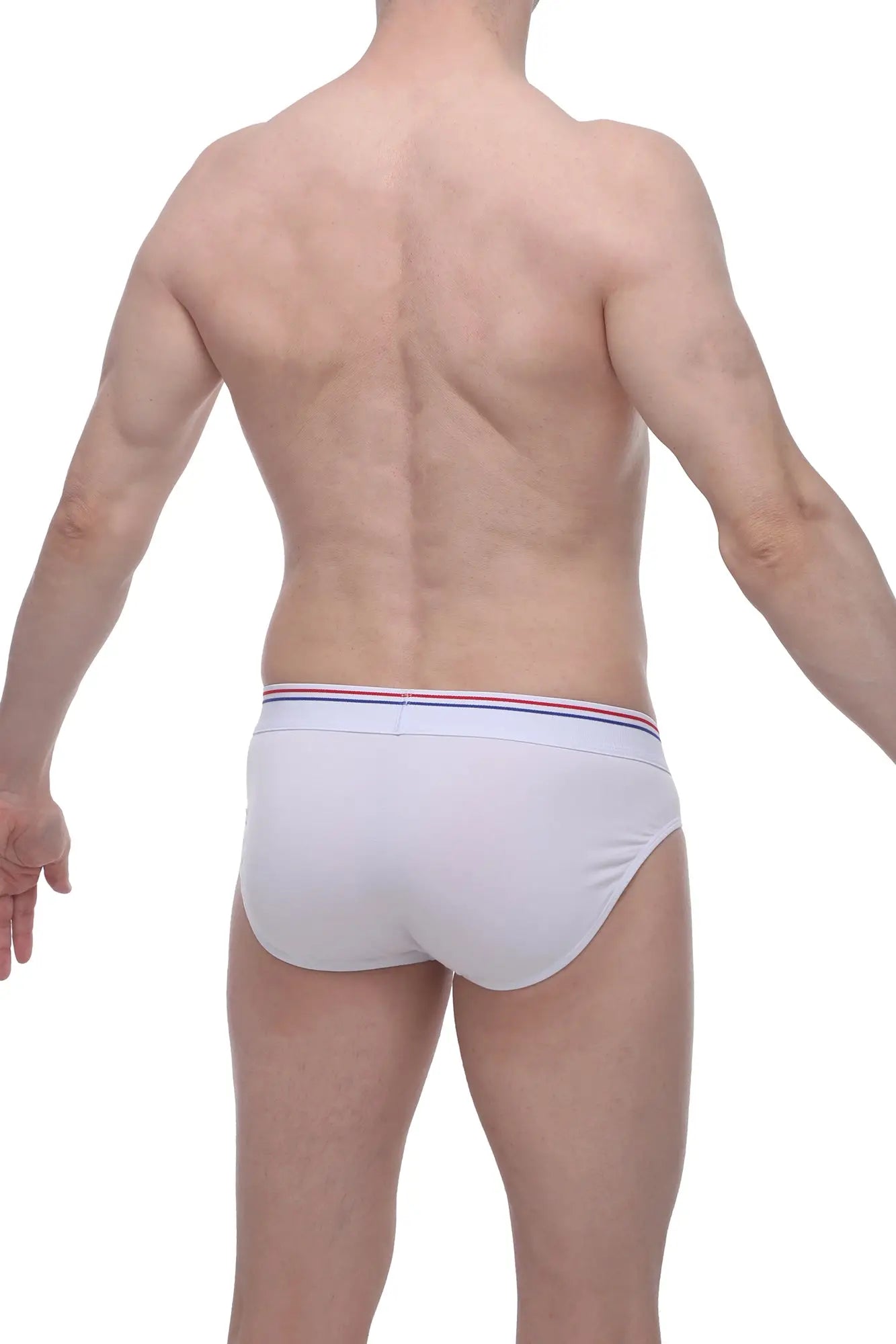 Petitq brief livet white white briefs with thin elastic waistband featuring red white and blue stripes