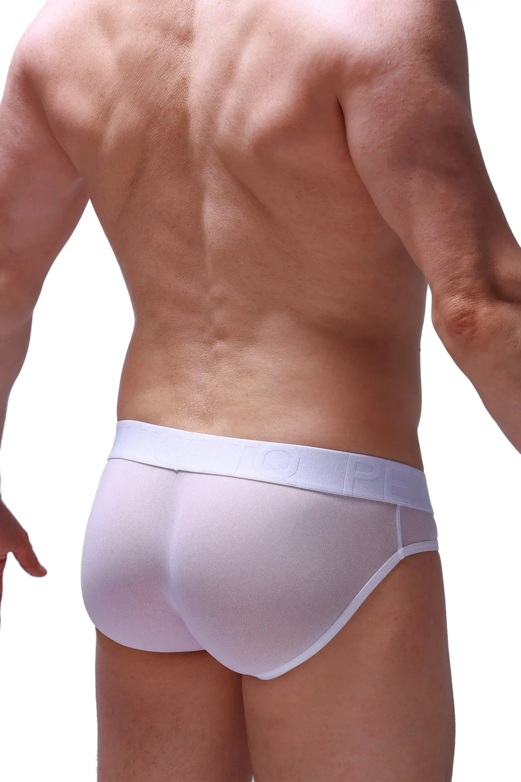 White mesh briefs petitq brief maidon net white with smooth elastic waistband for comfortable everyday wear