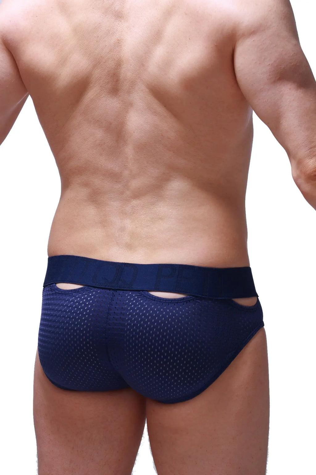 Navy blue petitq brief malans bee mesh briefs with solid waistband and cutout details on the front side