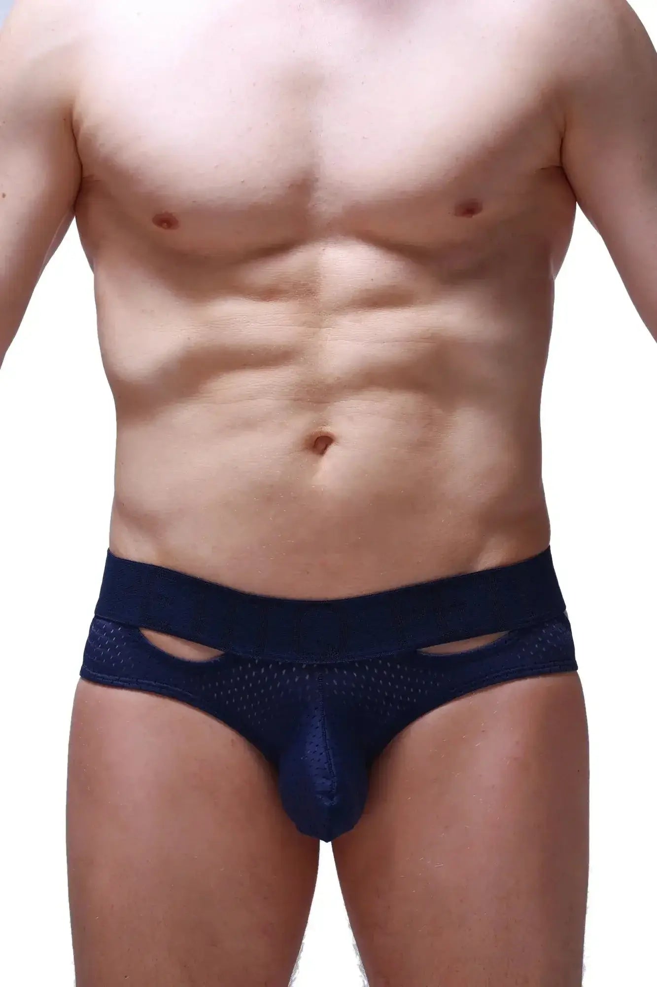 Navy blue PetitQ mesh briefs with solid waistband and cutout details showing front side design