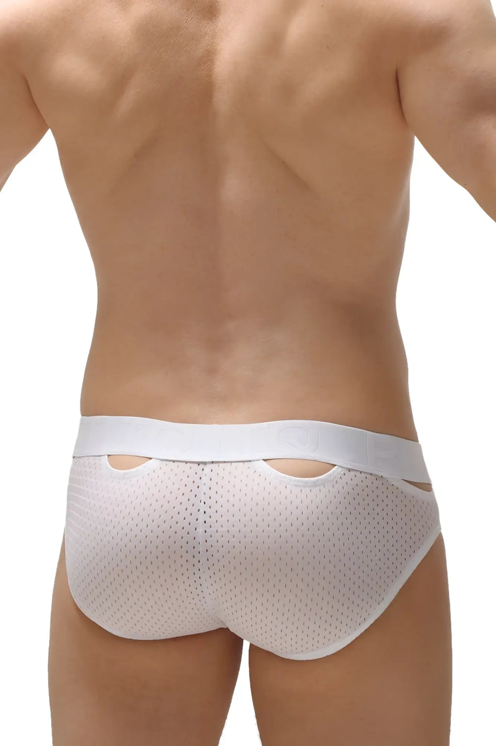 White mesh briefs petitq brief malans bee white with solid white waistband and cutout details