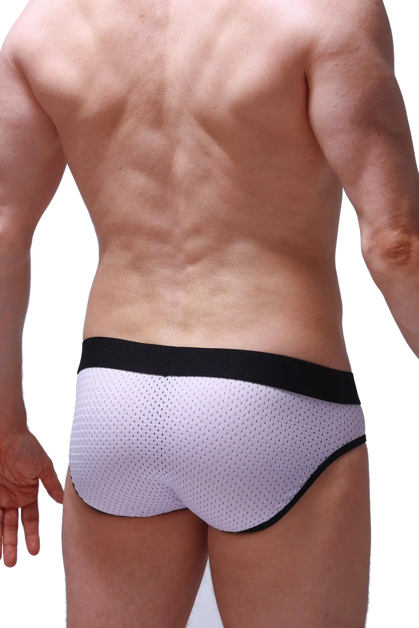 PetitQ brief Maray Bee white mesh briefs with black elastic waistband and trim front view