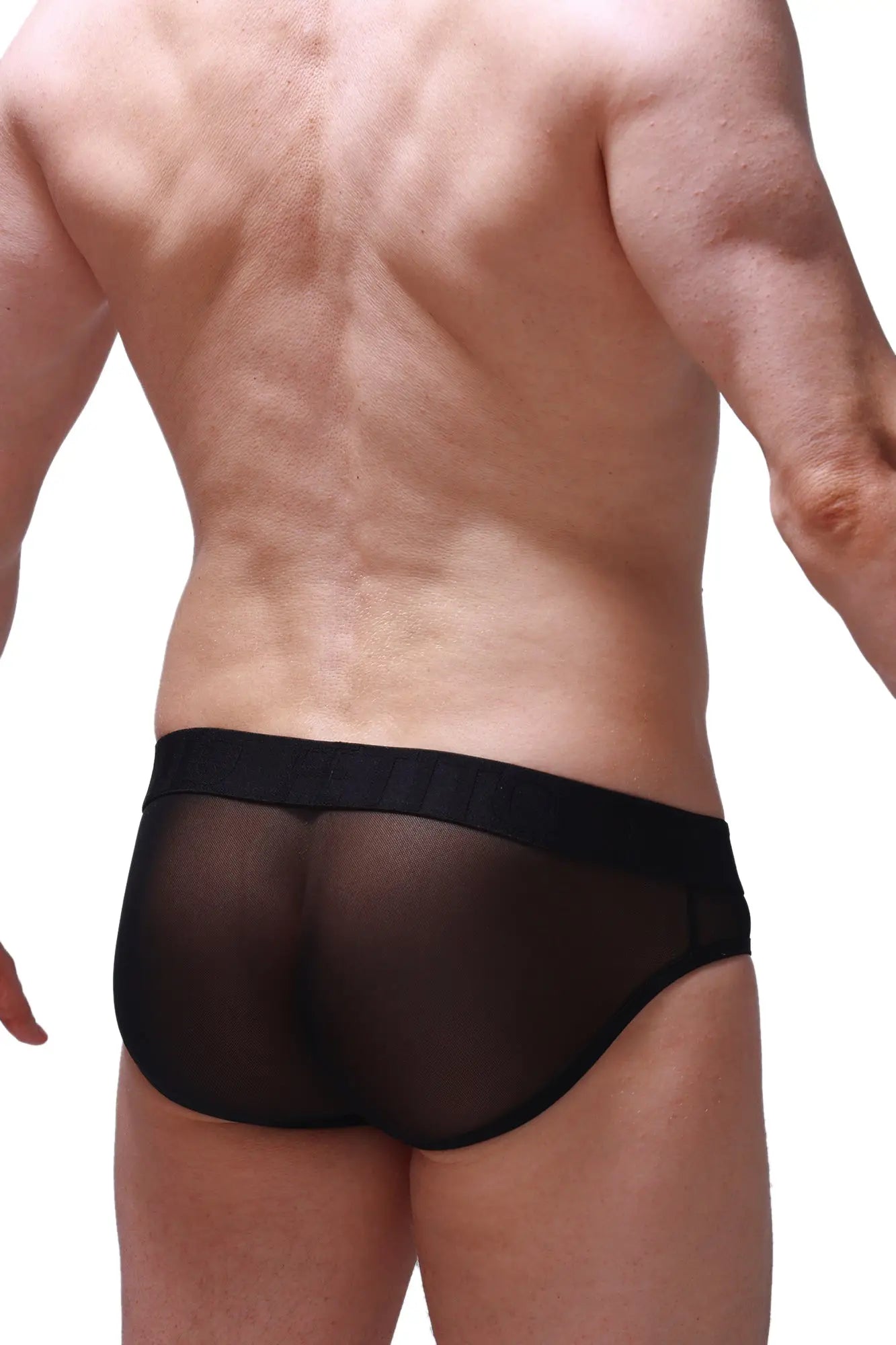 Black sheer mesh briefs petitq brief marsol tropical with solid black elastic waistband front view