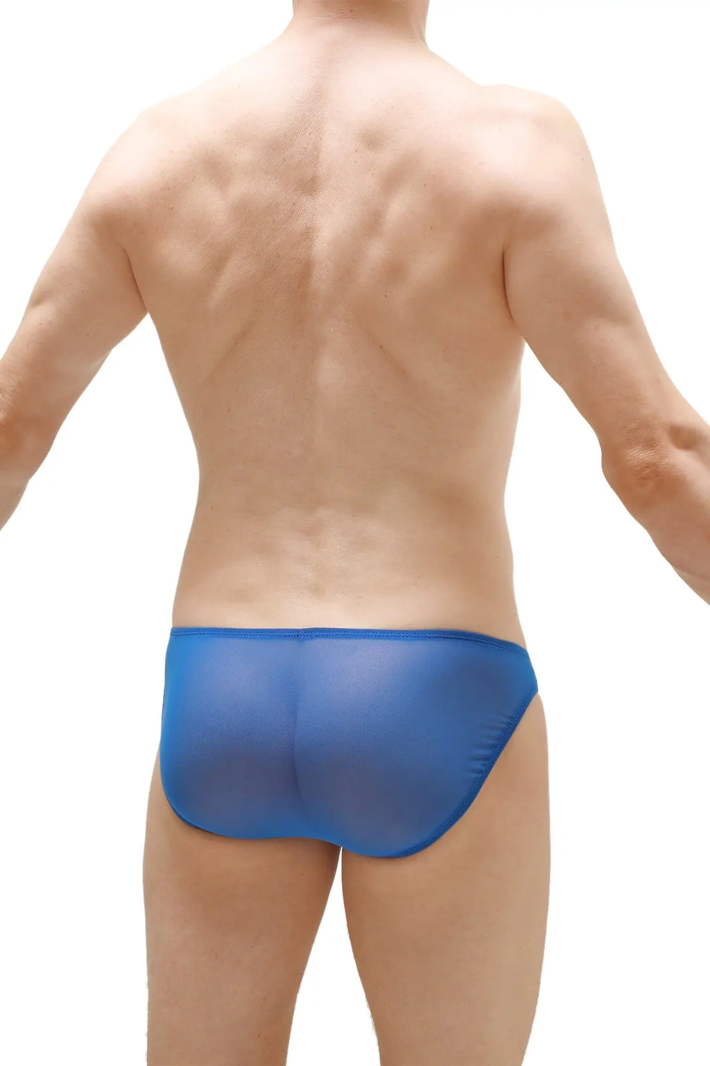 Petitq brief menil net cobalt blue sheer mesh briefs showcasing lightweight breathable fabric for men