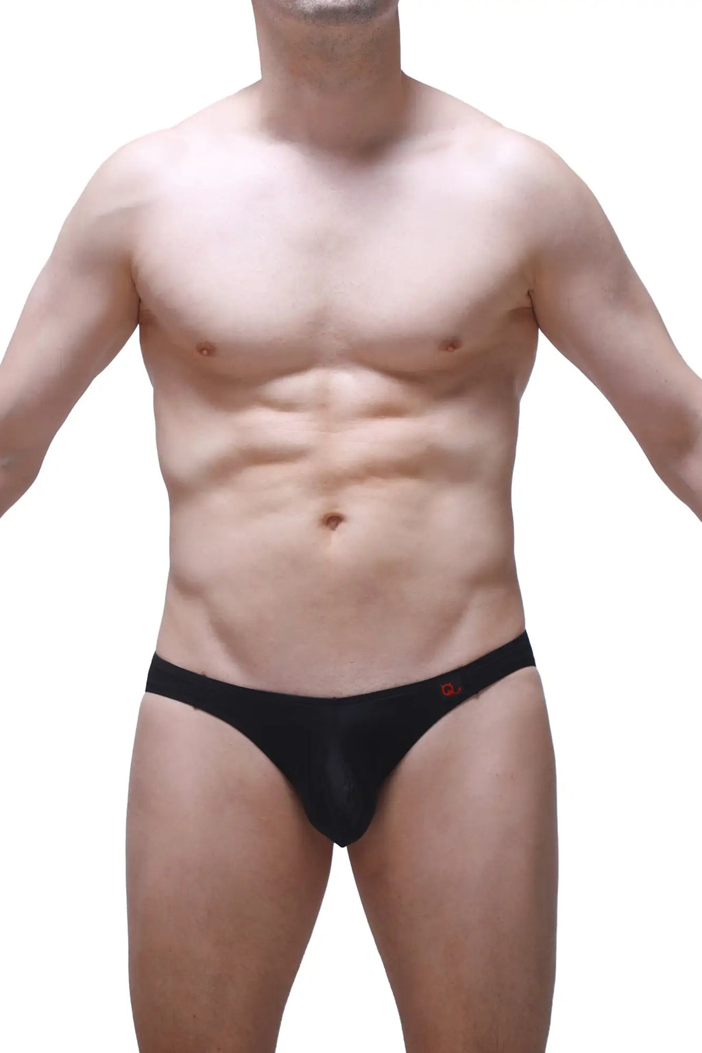 Black briefs petitq menil plum black with subtle red logo on waistband for comfortable everyday wear