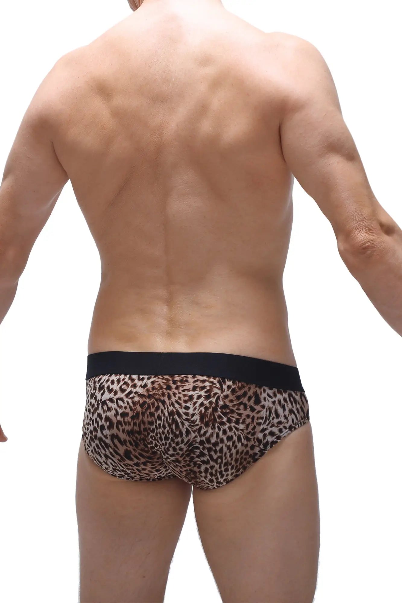 Petitq brief neure panthere leopard-print briefs with black elastic waistband in soft fabric